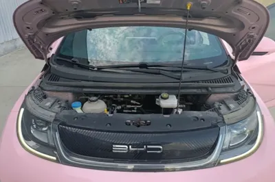 BYD Dolphin