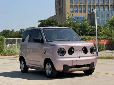 Galaxy Panda