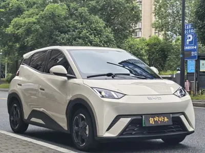 BYD Seagull