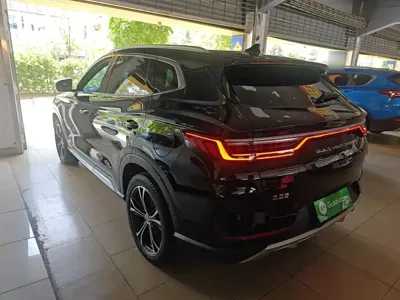 BYD PLUS