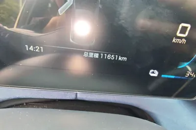 BYD Seagull