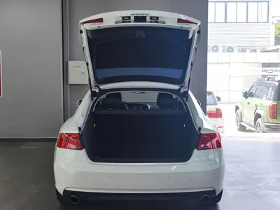 Audi A5 (Import)