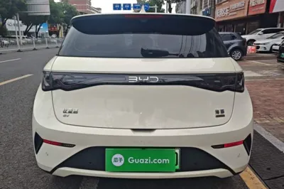 BYD Dolphin
