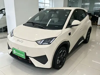 BYD Seagull