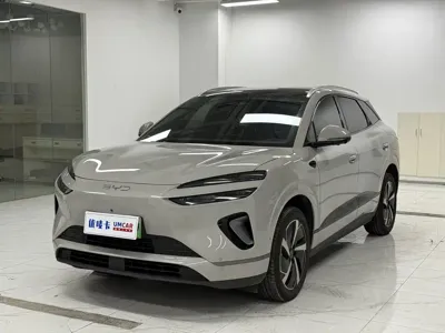 BYD 海狮06