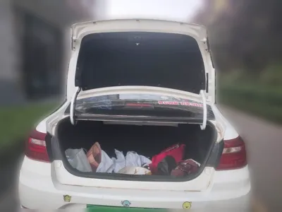 Geely Auto Vision