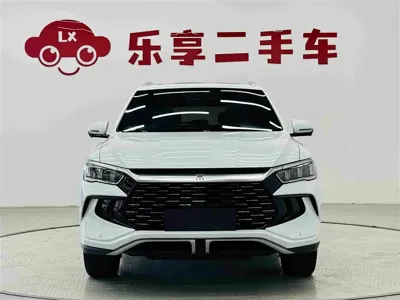 BYD Pro New Energy