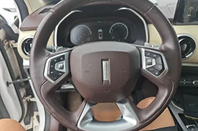 WEY VV6