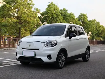 Leapmotor Leapmotor T03