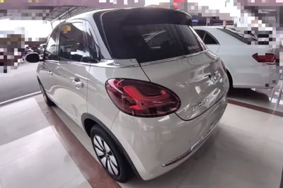 Wuling Bingo