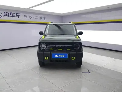 Galaxy Panda