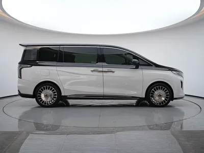 Hongqi Hongqi HQ9