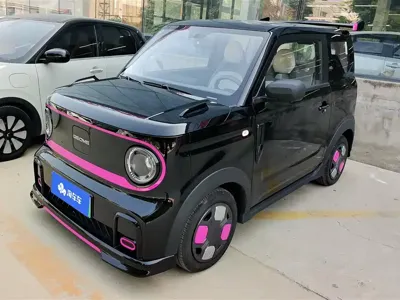 Galaxy Panda