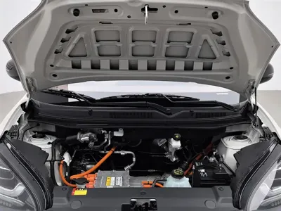 Wuling Bingo