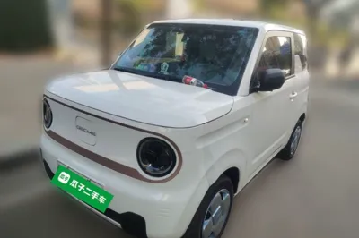 Geely Galaxy Panda