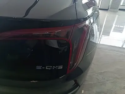 Hongqi Hongqi E-QM5