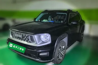 Haval H Dog