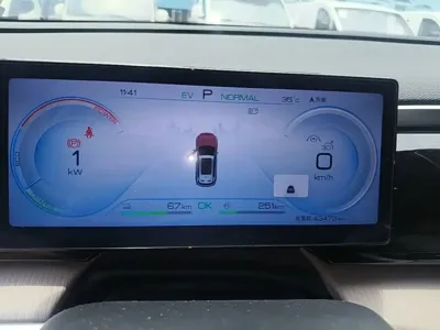BYD Pro New Energy
