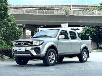 Dongfeng Rich