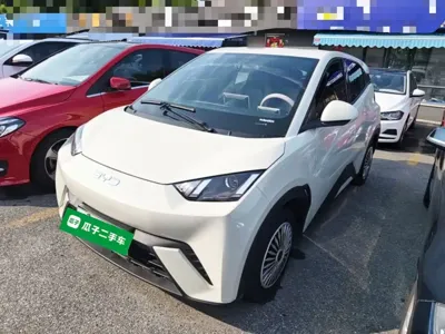 BYD Seagull