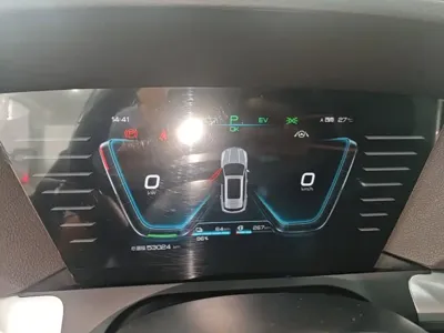 BYD Pro New Energy