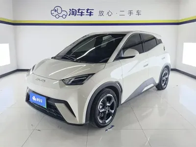 BYD Seagull