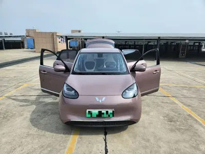 Wuling Bingo