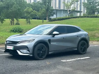 BYD L EV