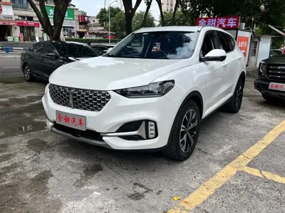 WEY Wey VV6
