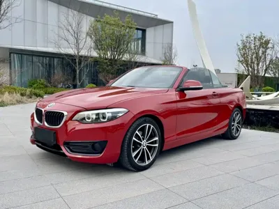 BMW 2 Series (Import)