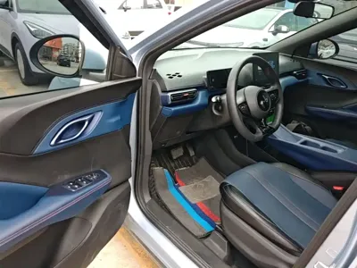 BYD Seagull