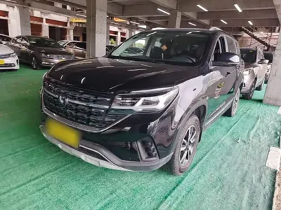 Fengxing Fengxing T5