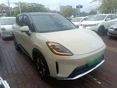 Wuling 缤果S