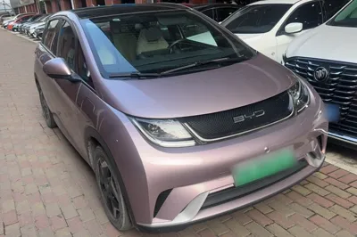 BYD Dolphin
