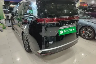 Denza D9