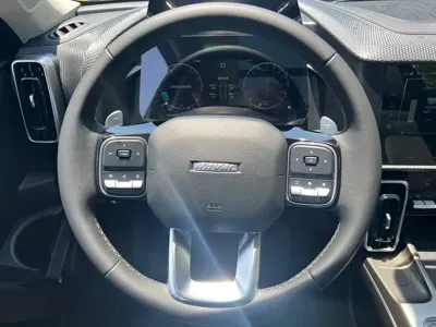 Haval Big Dog