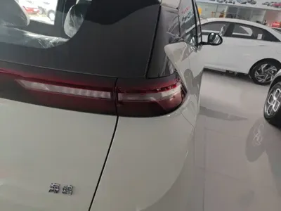 BYD Seagull