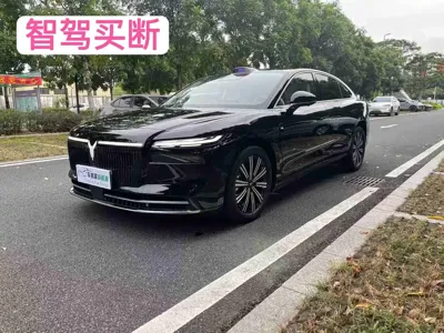 Voyah 岚图追光 L