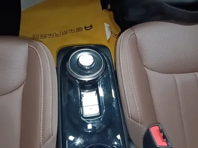Wuling Bingo