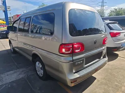 Fengxing Lingzhi