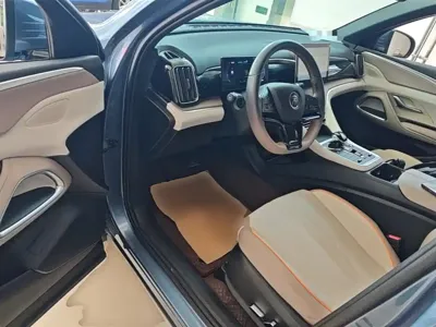 BYD Pro New Energy