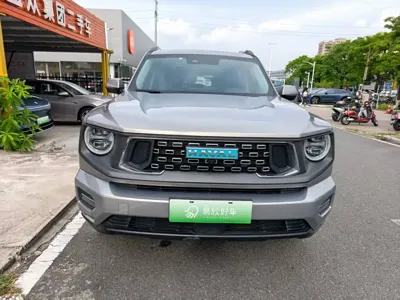 Haval 哈弗大狗 PLUS 新能源