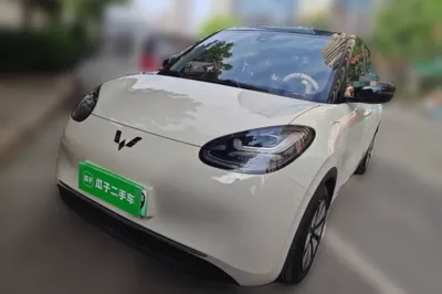 Wuling Bingo