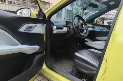 BYD Seagull