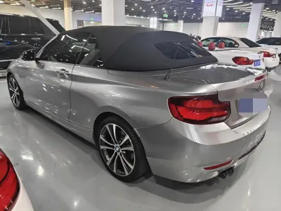 BMW 2 Series (Import)
