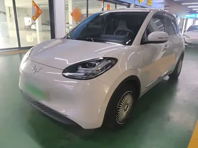Wuling Bingo