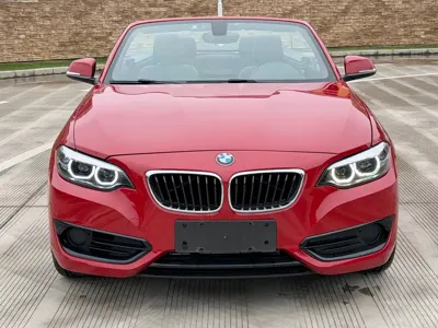 BMW 2 Series (Import)