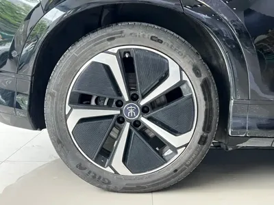 BYD L EV