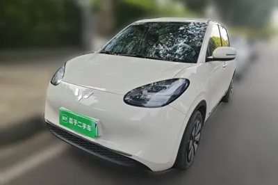 Wuling Bingo