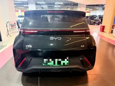 BYD Seagull